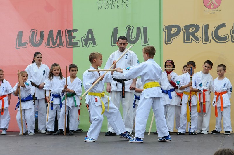 Karate - eine Sportart die Kids Selbstvertrauen und Disziplin beibringt (c) CC0 Lizenz, Pixabay, ionasnicolae